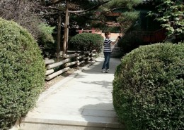 안동하회마을